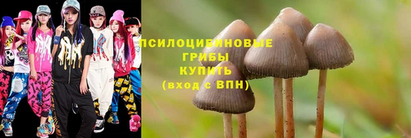 гидропоника Пестово