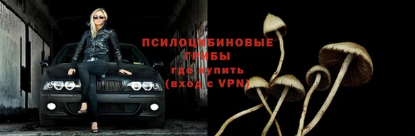 гидропоника Пестово