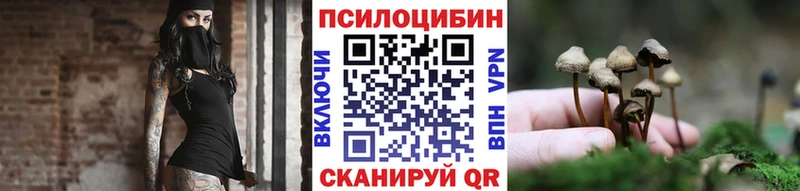 нарко площадка наркотические препараты  Щёкино  Псилоцибиновые грибы Magic Shrooms 