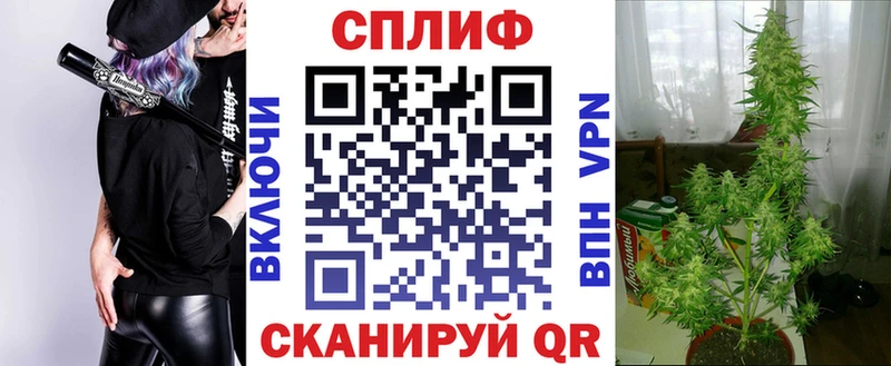 ОМГ ОМГ маркетплейс  Щёкино  Бошки Шишки план  продажа наркотиков 